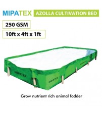 Mipatex HDPE Azolla Cultivation Bed 250 GSM 10ft x 4ft x 1ft (Green)